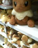 a shelf stocked with pikachus and a giant eevee plush