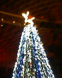 a well lit christmas tree at night