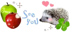 a hedgehog with the caption see you!